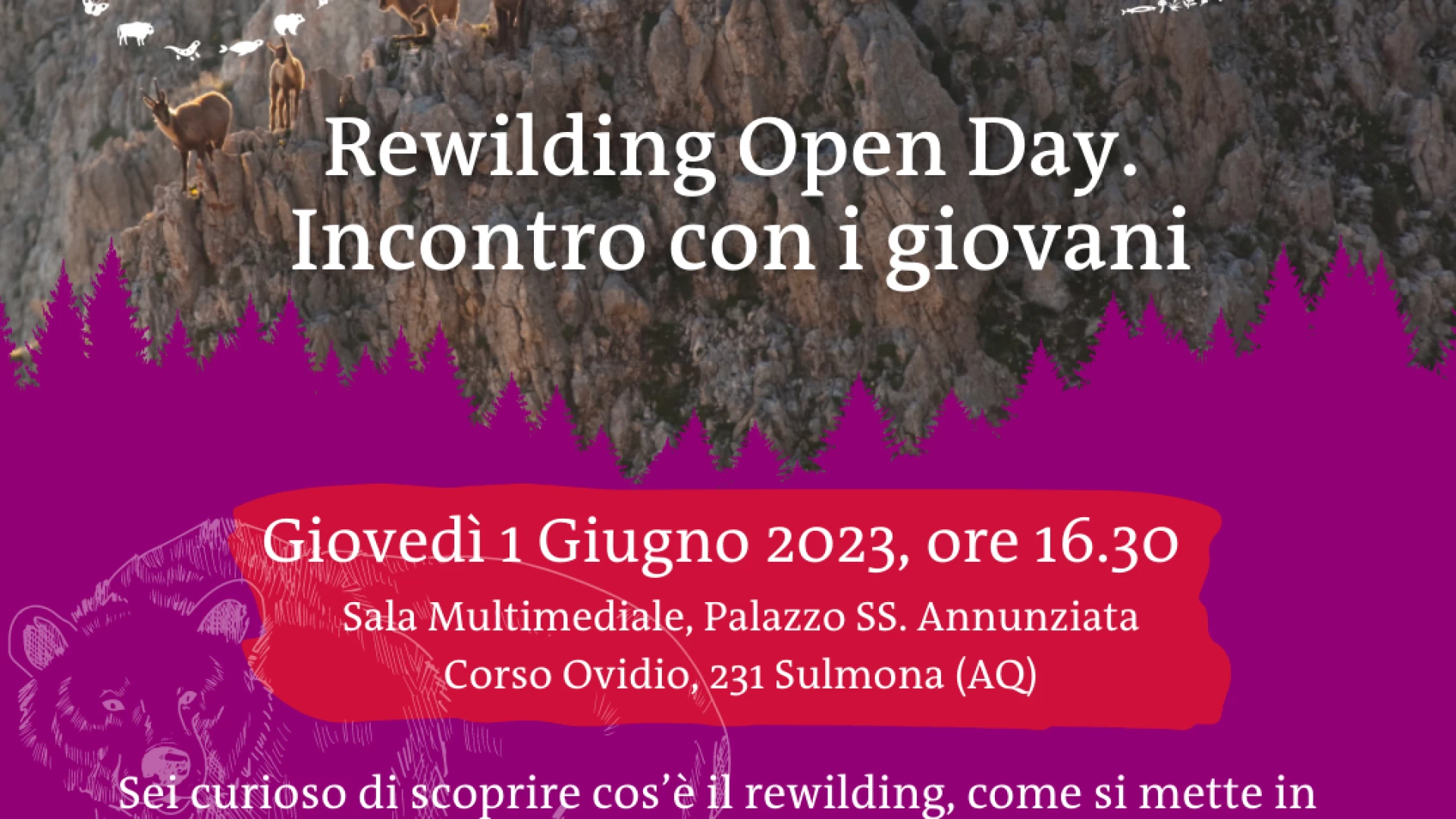 Rewilding Open Day: un incontro per i giovani e non solo